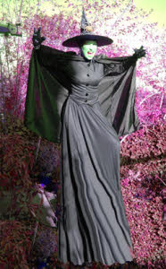 Stiltwalking witch for Halloween from circusperformers.co.uk and aurorascarnival.co.uk