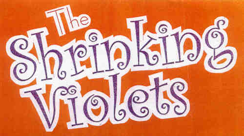 The Shrinking Violets - Musicians from Aurora's Carnival.