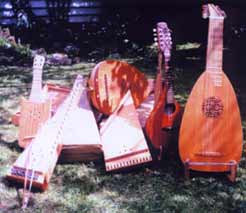Citole, bowed & plucked Psalties, 2 lutes and a Mandolin.