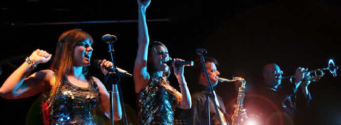 Scratch the Cat function band