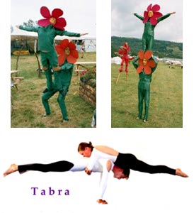 Tabra walkabout dasies & planche