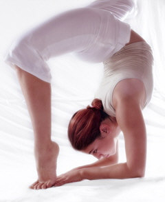 Sophie Avigdor - contortionist