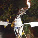 Animatronic Fire breathing dragon from circusperformers.co.uk and aurorascarnival.co.uk