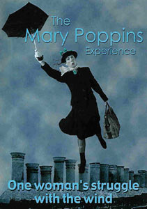 mary_poppins_roof.jpg